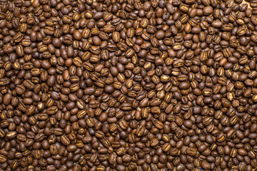 Medium dark Roasted peaberry coffee beans background.