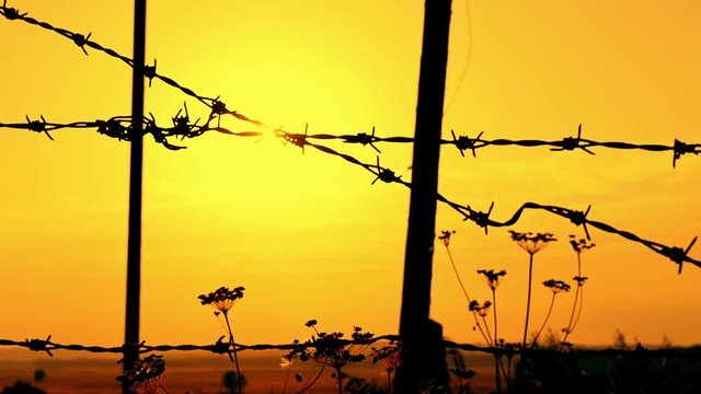Prison fence of barbed wire at sunset close up. Frontier zone, security area, fence of military unit, against sunset.