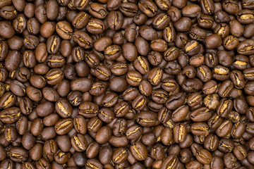 Close up, Macro, Texture, Medium dark Roasted peaberry coffee beans background.