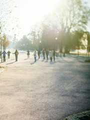Fototapeta premium Unrecognizable group of seniors friends workout in public Orangerie park with hiking trecking alpine poles for a healthy spirit - tilt-shift lens used 