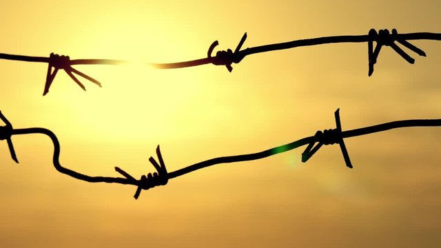 Prison fence of barbed wire at sunset close-up. Border zone, security territory, fence of the military unit.