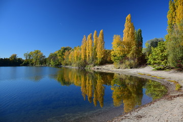 Binsfeldsee im Herbst