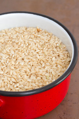 uncooked integral rice on dish