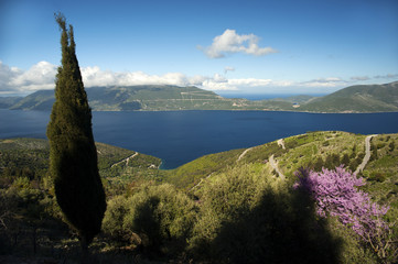 A panoramic view across the Ionian Sea from the Greek island of Kefalonia to the neighboring island of Ithaca with a tall Mediterranean cypress tree and pink spring blossoms in the foreground.