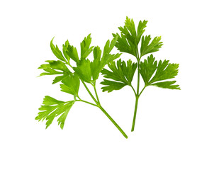 Parsley leaf.