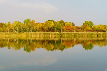 Autumn trees at the lake with reflection