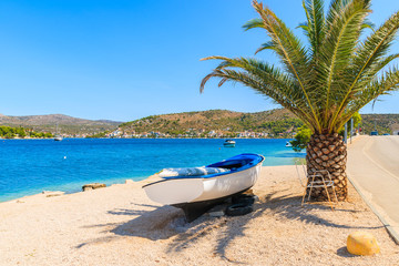 Fishing boat under palm tree on sea shore in Rogoznica town, Dalmatia, Croatia