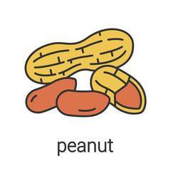Peanut color icon
