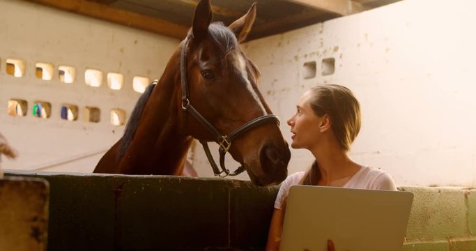 Woman standing with horse using laptop 