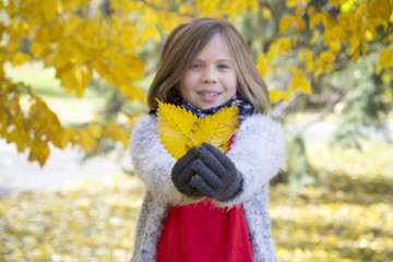 Bloned girl holding yellow leaves in her hands with gloves on and smiling, fall portrait