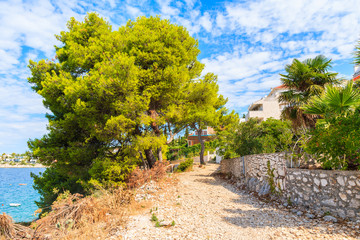 Coastal path with pine trees in Primosten town, Dalmatia, Croatia
