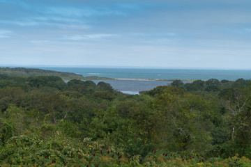Beautiful scenic overlook view of coastline tropical forest along the ocean during the day time