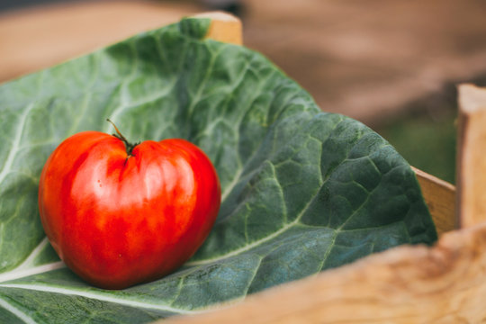 Close-up of heart shaped tomato on a green leaf