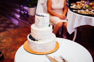 Beautiful delicious white wedding cake
