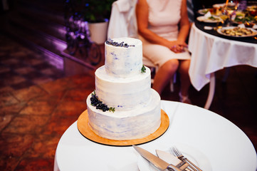 Beautiful delicious white wedding cake