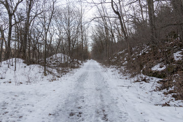 Fototapeta premium Afton Trail