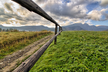 Fototapety na wymiar - Fototapeta24.pl