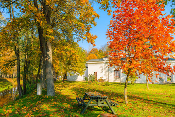 Wooden picnic table in park with colorful trees in autumn season, Poland