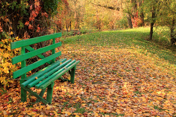 Wooden bench in forest on background of colorful autumn leaves.