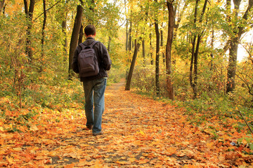 Man walks along autumn forest path strewn with fallen leaves.
