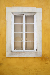 window