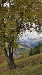 Fototapeta premium Schweiz Engadin Tarasp 33