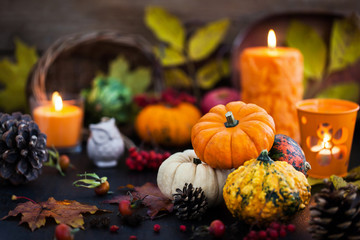 Autumnal colorful  pumpkins  on candle and fallen leaves background