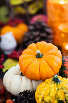 Autumnal colorful  pumpkins  on candle and fallen leaves background
