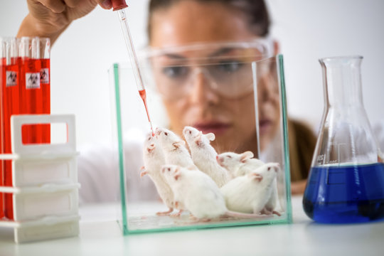 Woman chemist testing new formula on little mouses