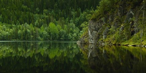 beautiful forest lake, Norway