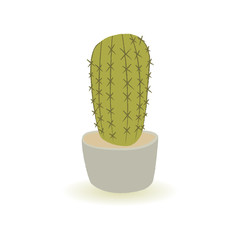 Cactus color flat icon for web and mobile design