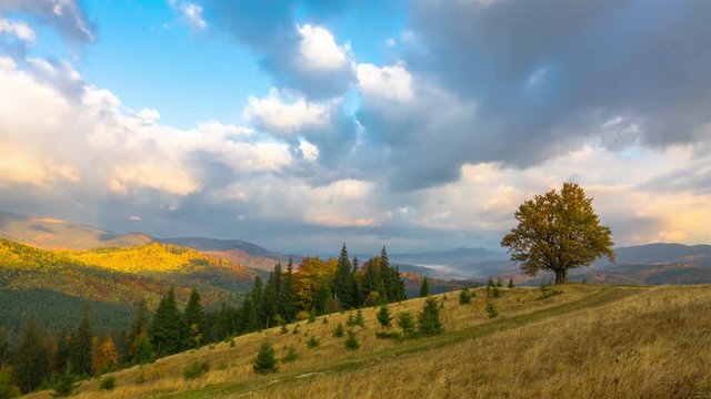 Autumn. Sunset Sky in the Mountains with a Lone Tree and Dirt Road in the Foreground and Clouds in the Background. Timelapse. 4K.