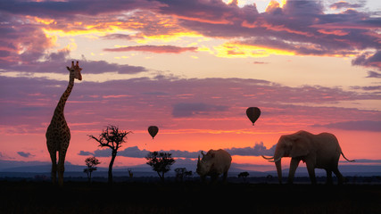 Fototapeta na wymiar African Safari Colorful Sunrise With Animals