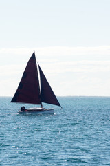 Fototapeta premium Couta boat vert.