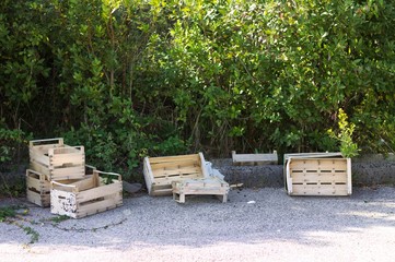 Fruit wooden boxes on the street (Pesaro, Italy)