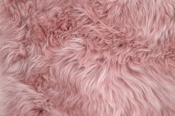 Pink sheepskin rug background sheep fur Wool texture