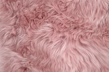 Fototapeten Rosa Schaffell Teppich Hintergrund Schaffell Wolle Textur © LiliGraphie