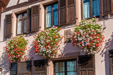 Fototapeta na wymiar Flowers on the facade of a traditional half-timbered house in Saint-Hippolyte village - Haut-Rhin, France