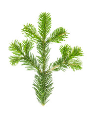 Spruce twigs Branch of christmas tree white background