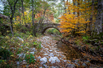 un pont de pierre au dessus d'une rivière à sec entouré d'arbre aux couleurs d'automne