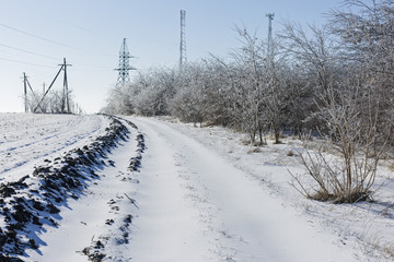 Winter fairy tale, Iced Trees, winter morning
