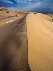 Ridge of Large Sand Dune, Death Valley Mesquite Dunes
