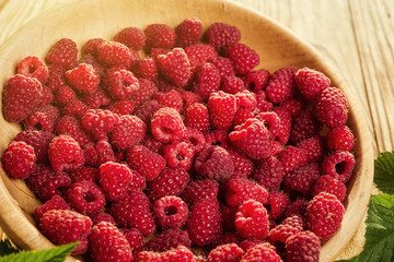raspberries in a plate,in wooden bowl,basket/bush branch/growing raspberries,raspberries background closeup photo,high resolution product,Delicious first class organic fruit,Raspberry as background