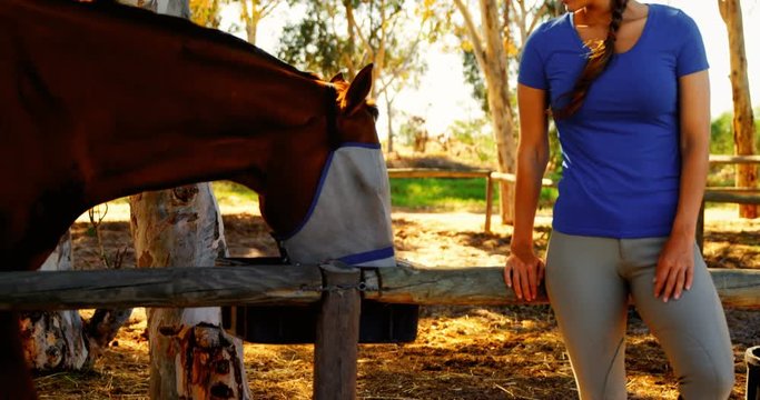 Woman feeding horse in ranch 
