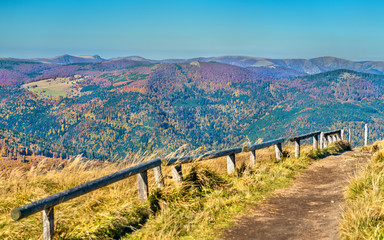 Fototapeta na wymiar The Col du Grand Ballon, a mountain pass in the Vosges Mountains - Alsace, France