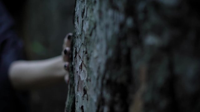 pale witch hand with sharp black nails is touching a trunk of old tree in a dark forest, close-up