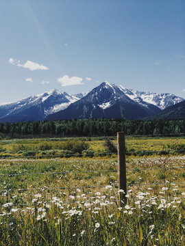 Fence in a meadow with mountains in British Columbia Canada