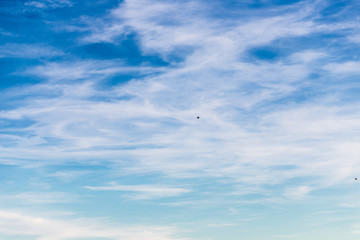 P&aacute;ssaros voando no c&eacute;u azul
