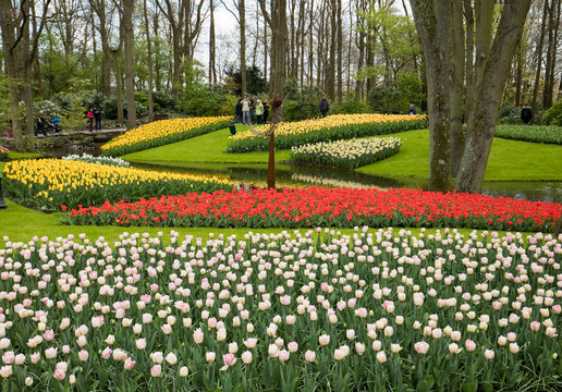 Visitors at the Keukenhof Garden in Lisse, Holland, Netherlands.
