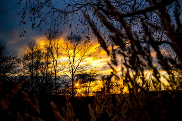 Naklejka premium Sunset, view through the grass in the field 